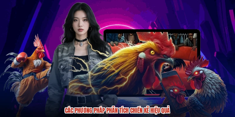 Chiến thuật cược hiệu quả cho thành viên mới DABET