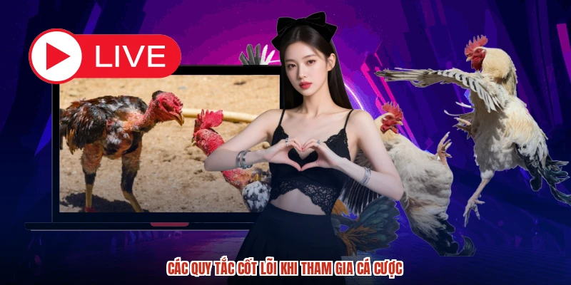 Các đối tác trường gà uy tín chất lượng nhất tại DABET