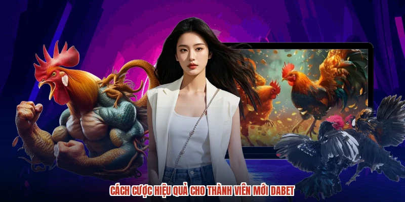 Cách cược hiệu quả cho thành viên mới DABET