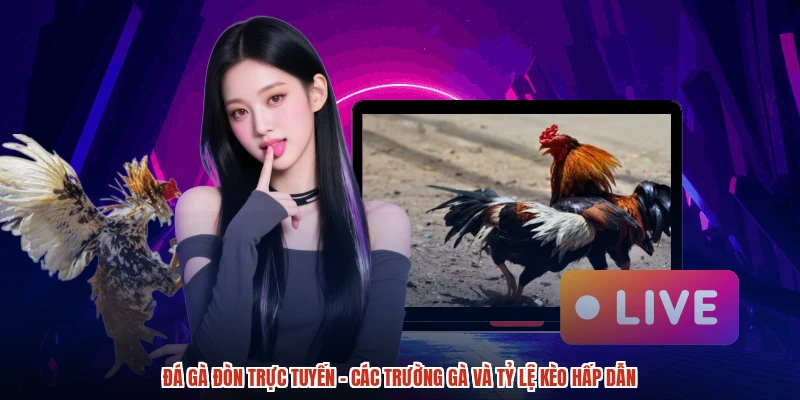 Đá Gà Đòn Trực Tuyến Đang Thu Hút Đông Đảo Hội Viên Nhờ Mạng Lưới Trường Gà Nổi Tiếng Châu Á Cùng Tỷ Lệ Kèo Hấp Dẫn Nhất Thị Trường. Từng Sới Gà Đều Được Phát Sóng Trực Tiếp Với Camera Đa Góc Giúp Theo Dõi Từng Khoảnh Khắc Trận Đấu Sắc Nét Nhất. Bài Viết Dưới Đây Từ DABET Sẽ Đồng Hành Cùng Bạn Nắm Rõ Tất Cả Nhà Cung Cấp Uy Tín Cùng Tỷ Lệ Kèo Cụ Thể Nhất.