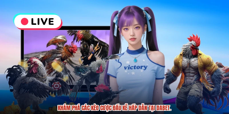Khám phá các kèo cược đấu kê hấp dẫn tại DABET.