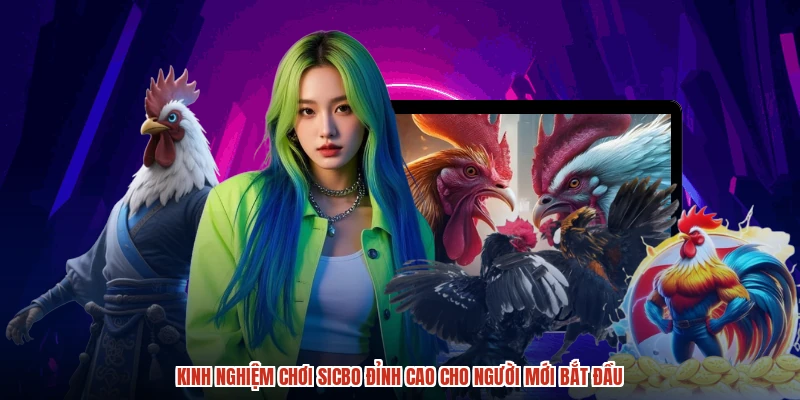 Những hình thức cược nổi bật chinh phục thành viên DABET