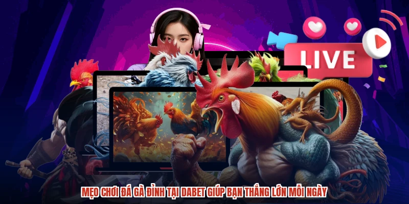 Đá Gà Cựa Sắt Hôm Nay Tại DABET: Các Hình Thức Cược Hấp Dẫn