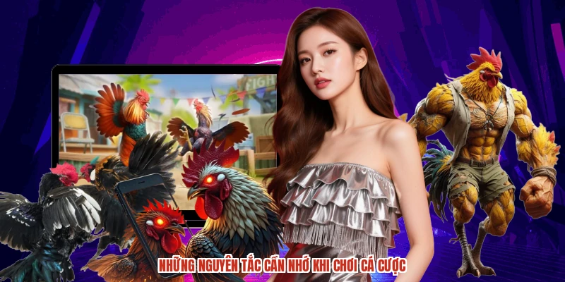 Thông tin khuyến mãi đặc biệt cho sảnh cược gà DABET